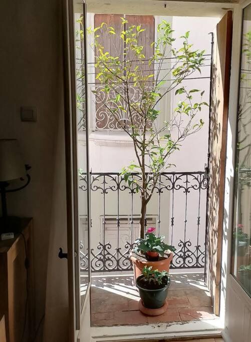 Maison De Village Dans Le Centre Du Vieux Quartier Marseillan  Zewnętrze zdjęcie